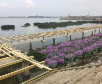 武山湖湿地生态恢复与保护工程(二标段)
